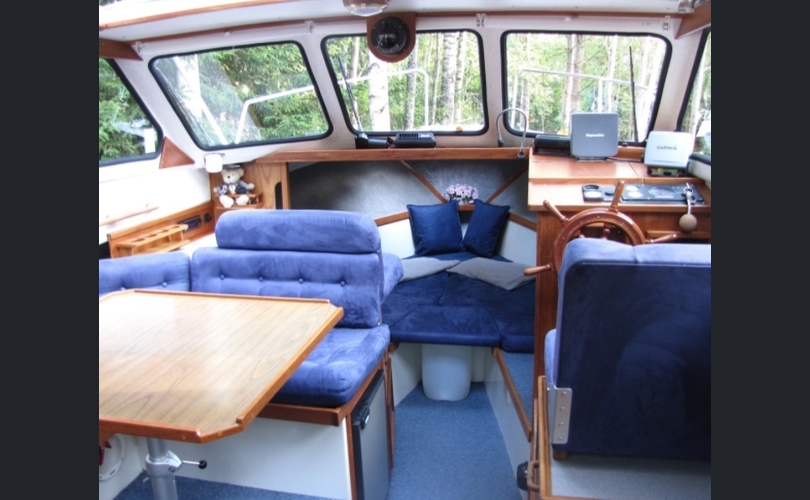 Albatross Flying 870-kuva-10